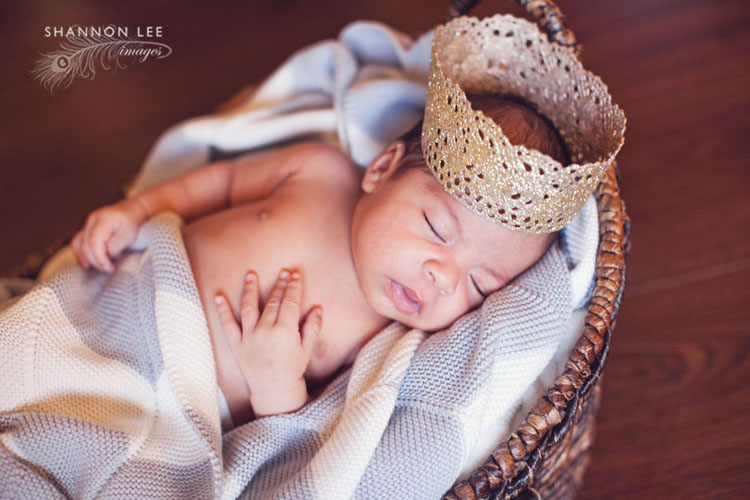 la newborn photography