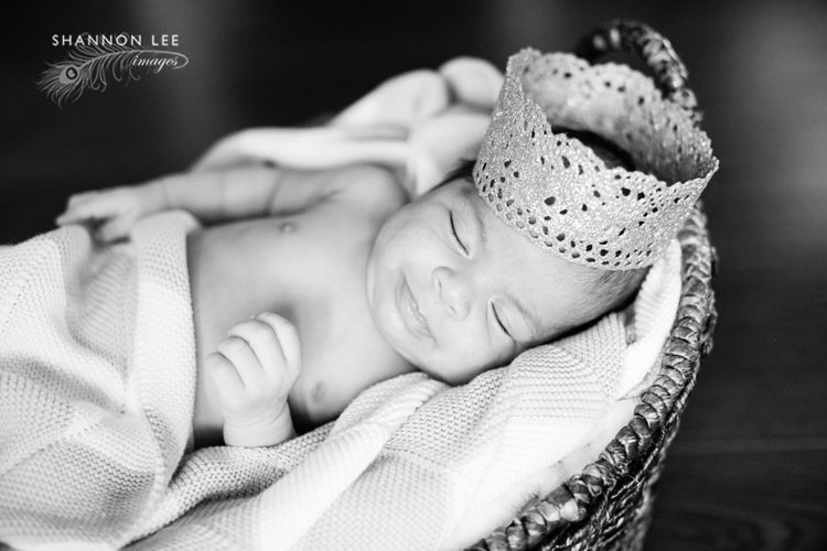newborn photography la
