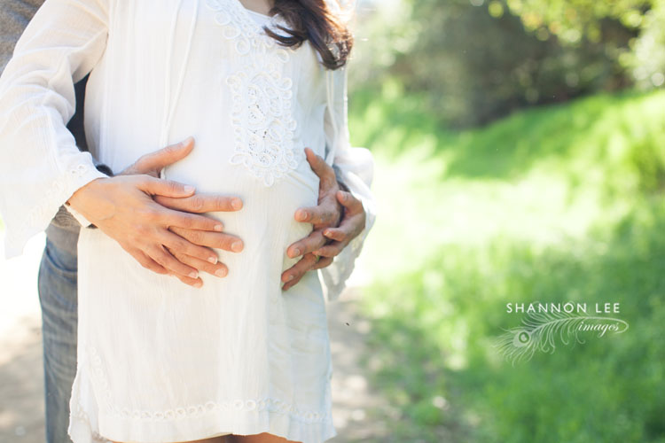 glendale pregnancy photographer
