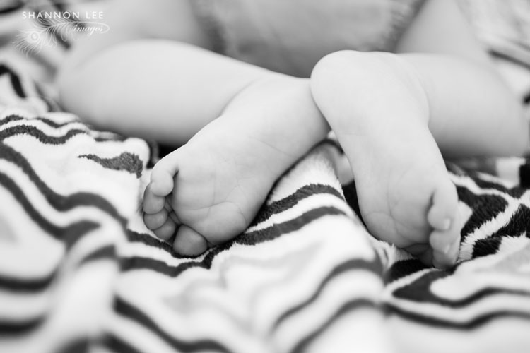 baby photographer burbank