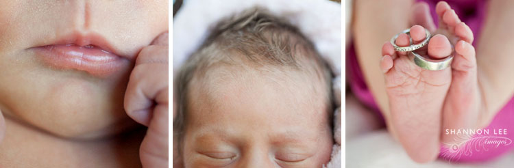 burbank newborn photographer