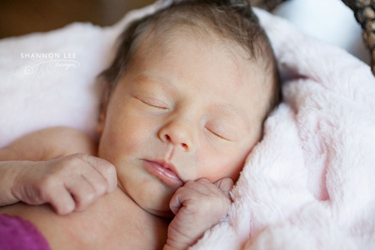 newborn photographer glendale