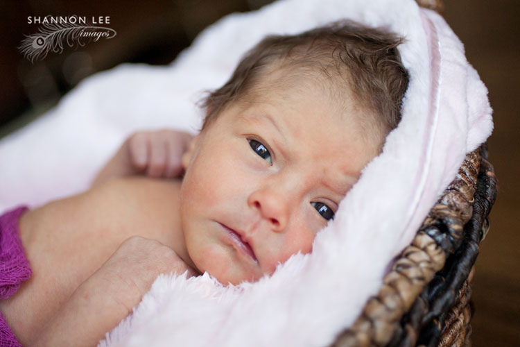 burbank newborn photography