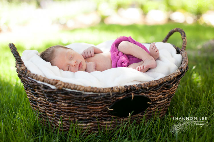 newborn photography burbank
