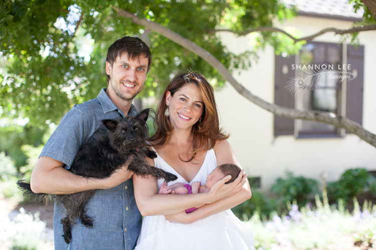 family photographer glendale