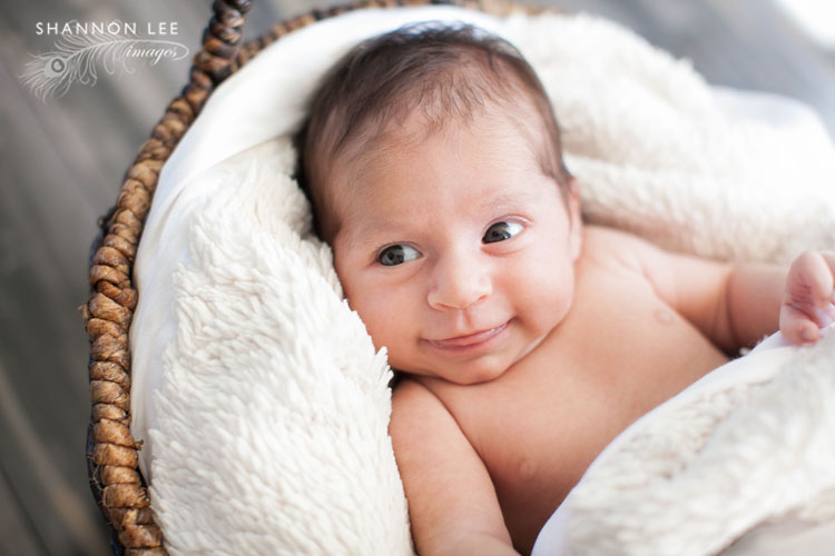 los angeles newborn photographer