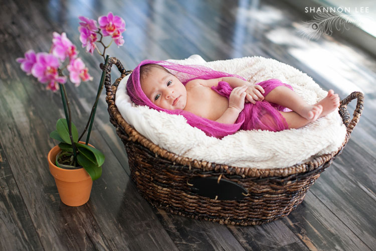 newborn photographer la