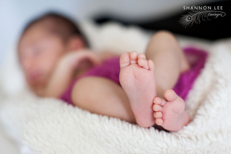 la newborn photographer