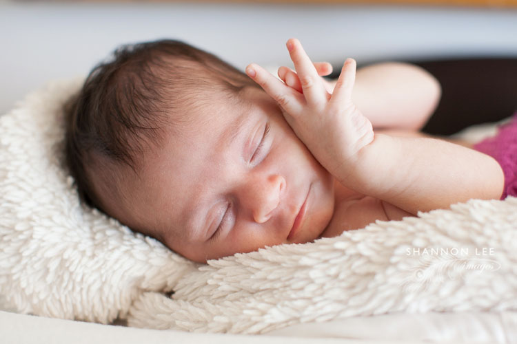 newborn photographer la