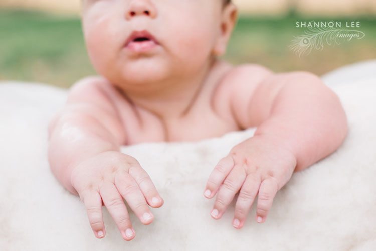 baby photographer burbank