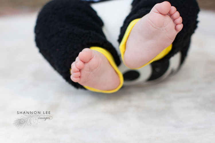 burbank baby photographer