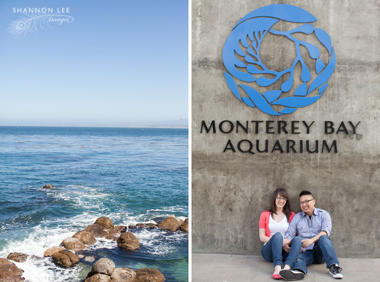 monterey bay engagement photographer