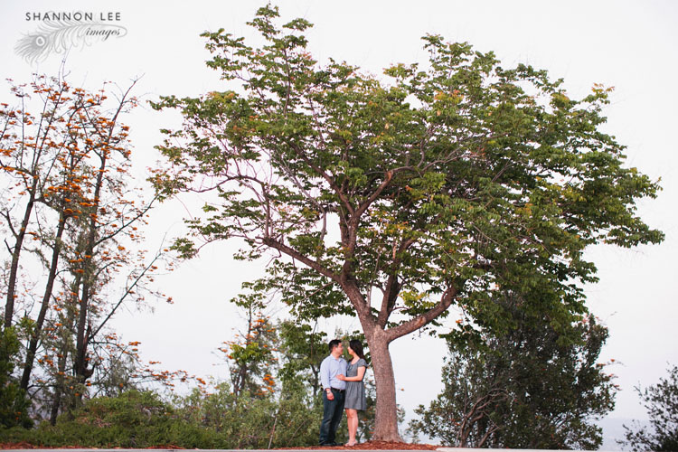 burbank wedding photographer
