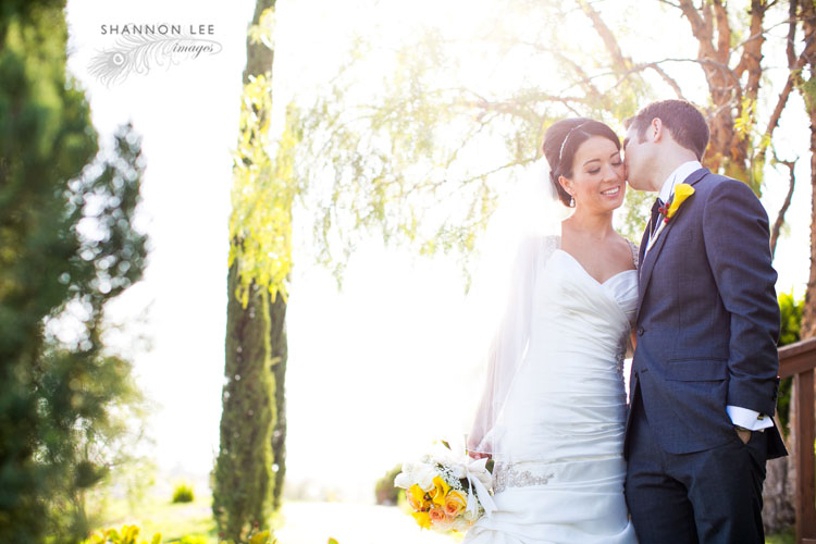 falkner wedding photography
