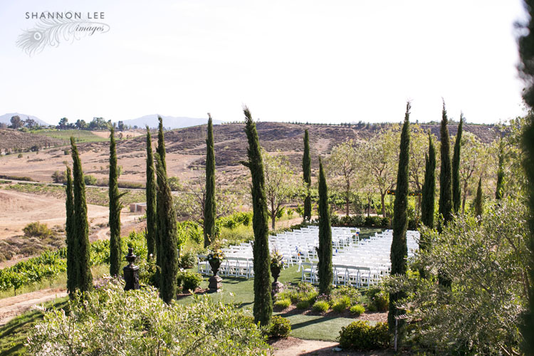 wedding photographer falkner winery