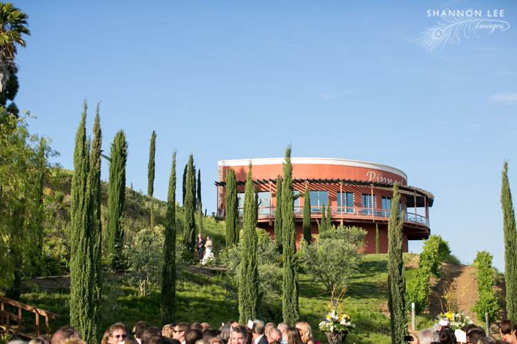 wedding ceremony falkner winery