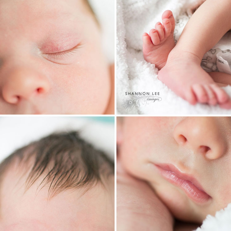 newborn little bits