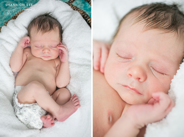 newborn photographer san jose
