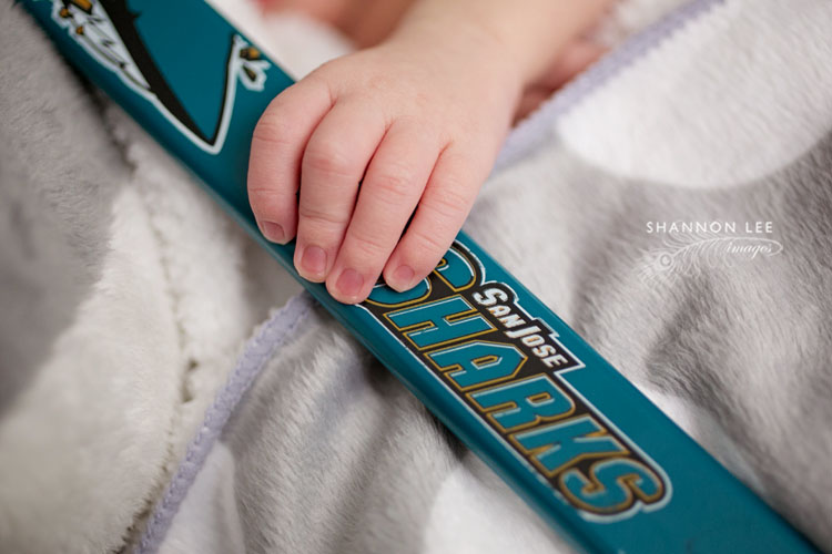 sharks newborn fan