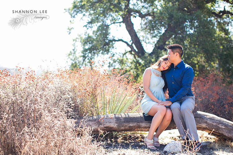 eaton canyon engagement session