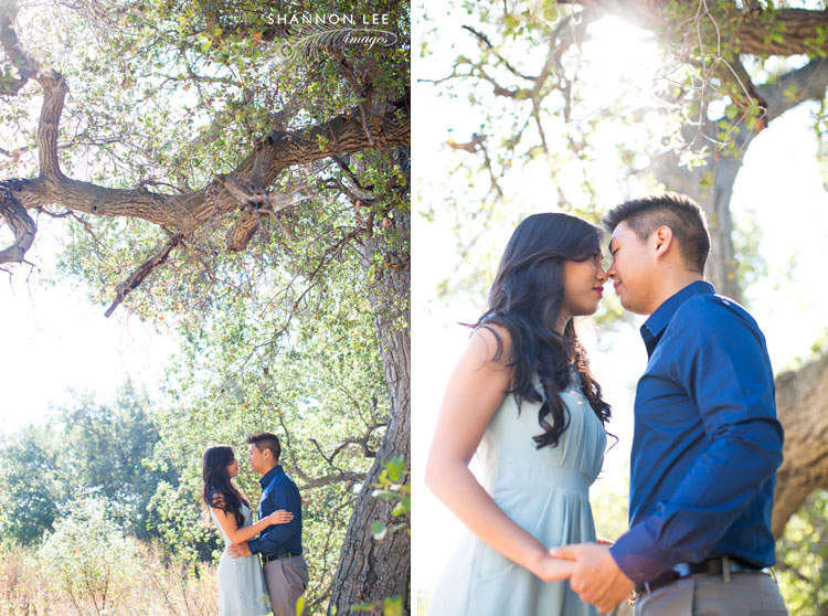 pasadena eaton canyon engagement photographer