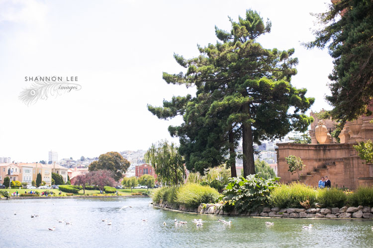 san francisco lesbian wedding photographer