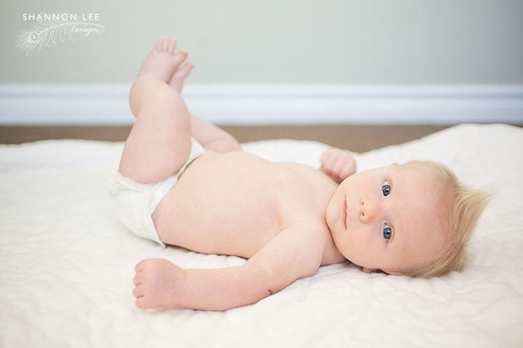 la baby photographer