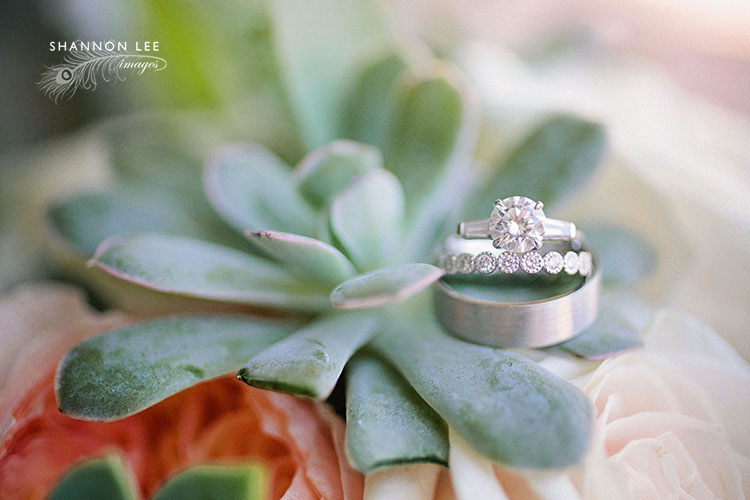 succulent wedding rings