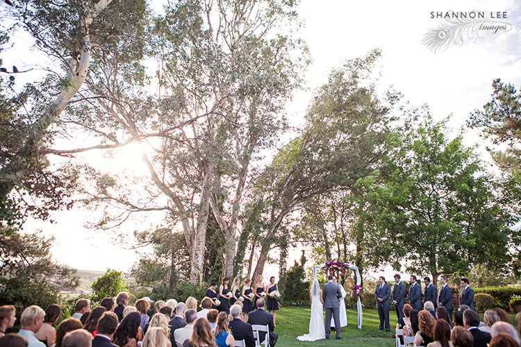 temecula falkner winery ceremony photographer