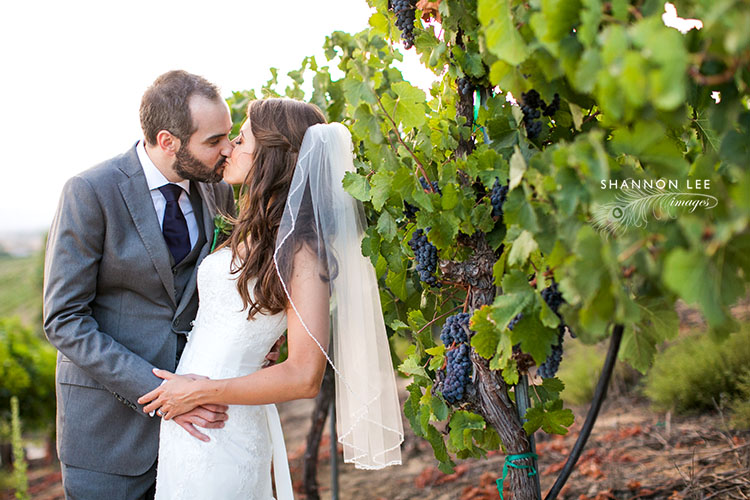 temecula falkner winery wedding photographer
