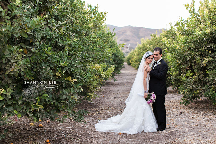 limoneira wedding photographer
