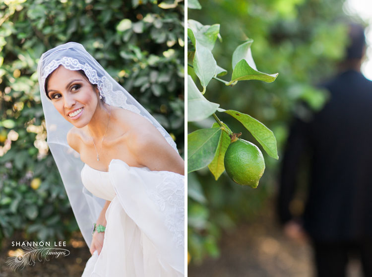 limoneira lemon ranch wedding