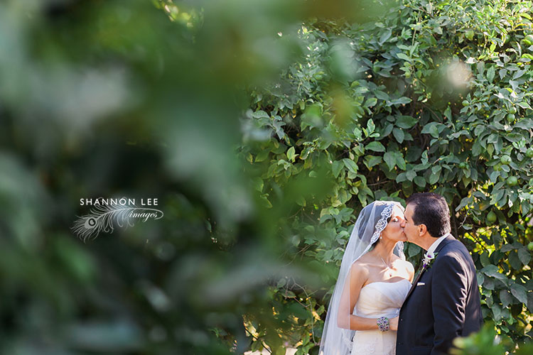 wedding photographer ojai