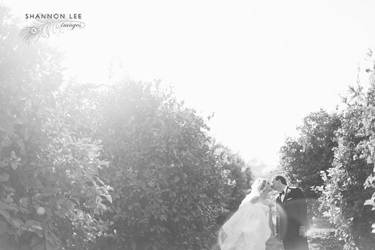 wedding photography limoneira