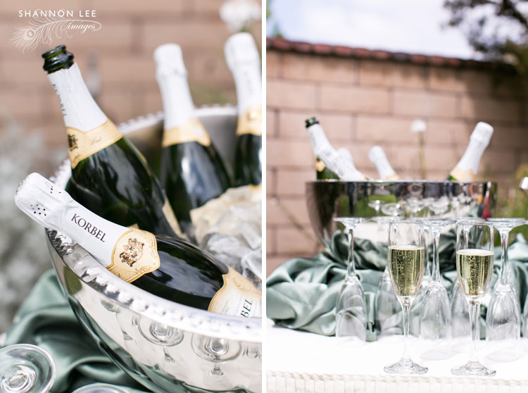 champagne brunch gay wedding