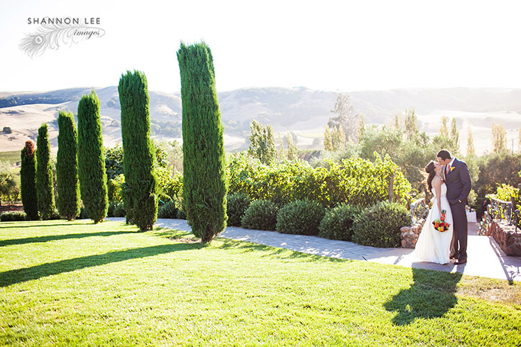 sonoma winery wedding photographer