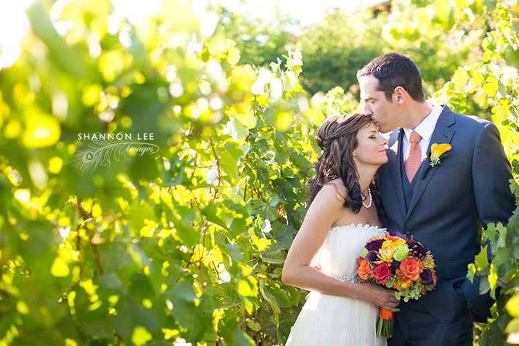 napa winery wedding photographer