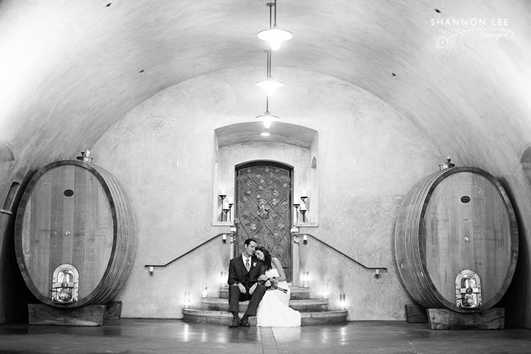 viansa winery wedding photographer