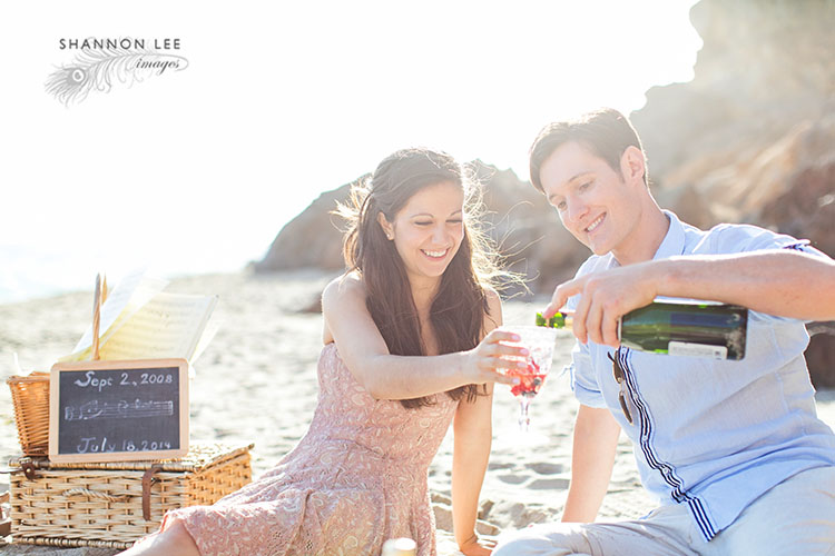 malibu picnic engagement session