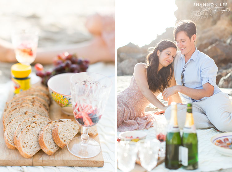 malibu beach picnic engagement