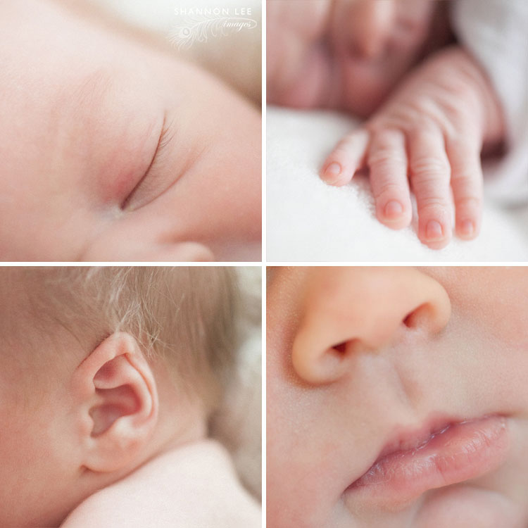 la-newborn-photographer-206 burbank newborn photography