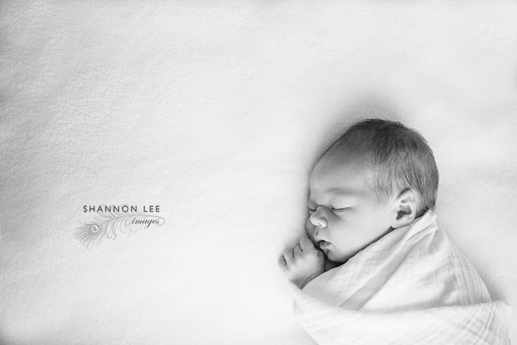 la-newborn-photographer-208c newborn photographer los angeles