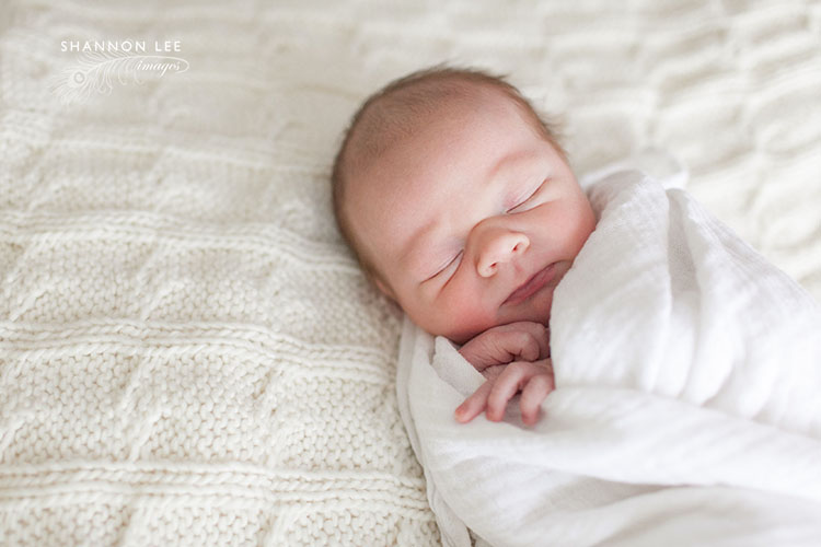 la-newborn-photographer-209 newborn photographer santa monica