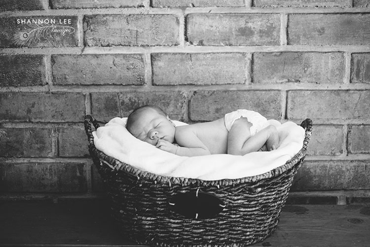 la-newborn-photographer-210 santa monica newborn photographer