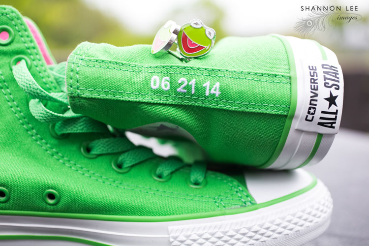 kermit the frog converse