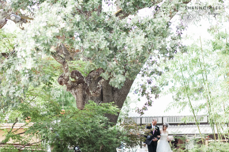 hakone gardens wedding ceremony