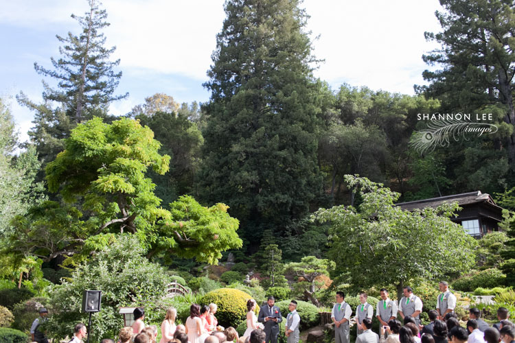 hakone gardens saratoga wedding ceremony