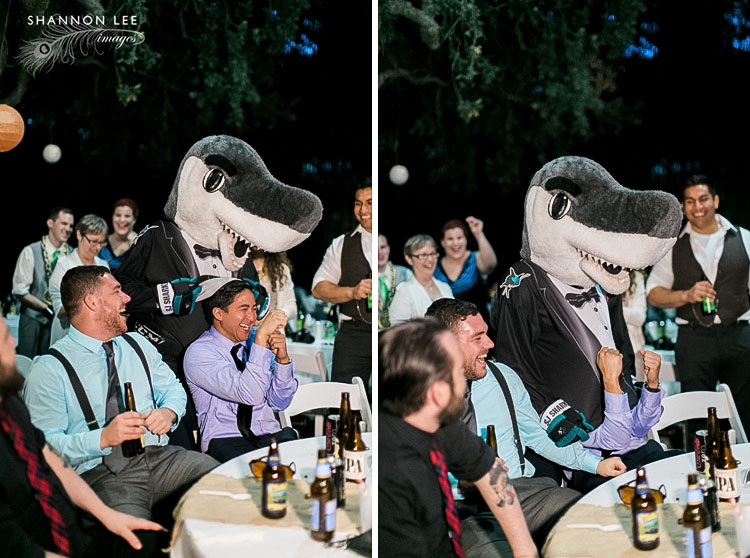san jose sharks sharkie wedding guest