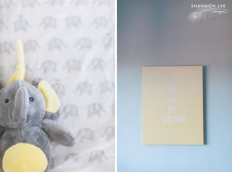 elephant themed nursery