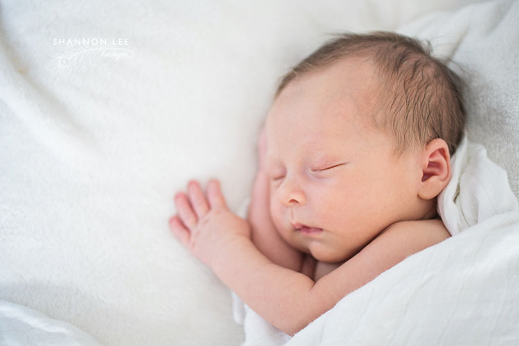 san francisco newborn photographer